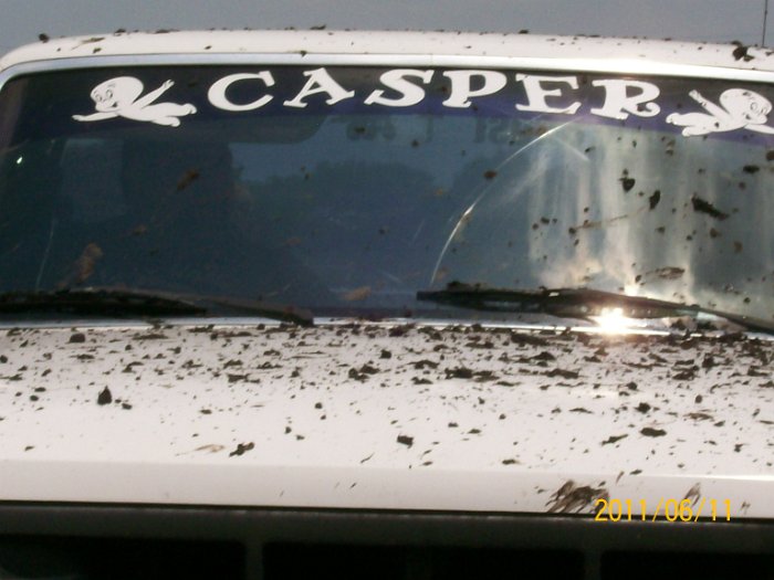 2011-Jun-11_HGR4X4_JessesBD_P1 005